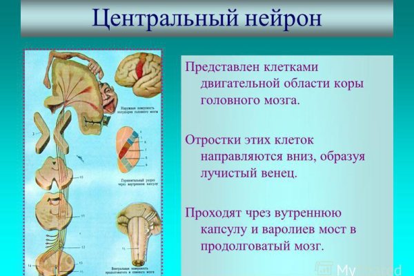 Как вернуть аккаунт на кракене